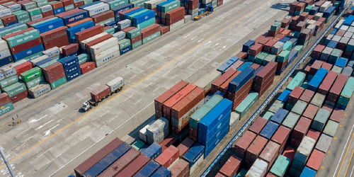 今年前8個月我國貨物貿易進出口同比增長6%，國內貿易代理角色凸顯